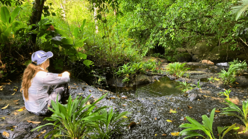 How this Michigander swapped snow-shoveling for paradise in Panama at Camaroncito EcoResort